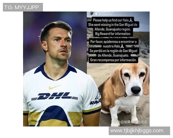 足球巨星们的爱犬揭秘他们与宠物之间温暖陪伴的故事